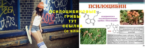 экстази Алексин