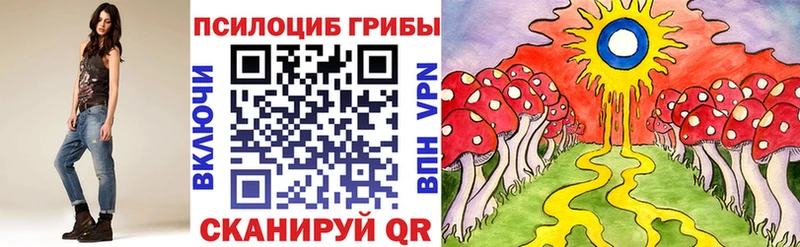 Галлюциногенные грибы Cubensis  Курчалой 