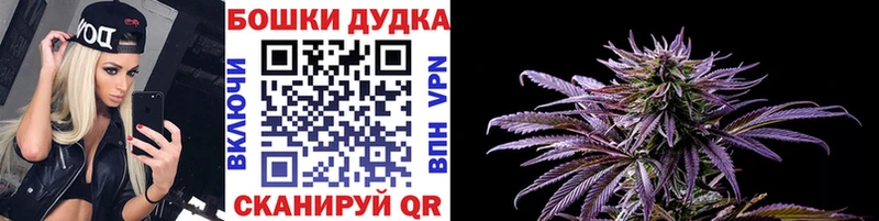 Канабис конопля  Курчалой 